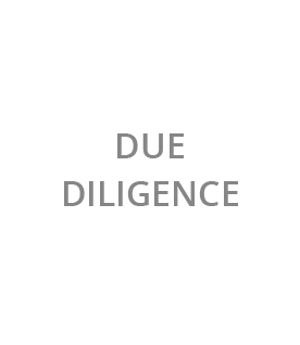 Due Diligence