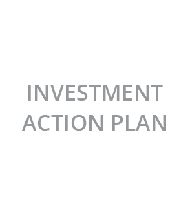 Investment Action Plan